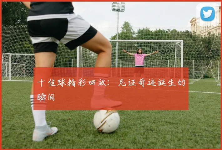 十佳球精彩回放：见证奇迹诞生的瞬间